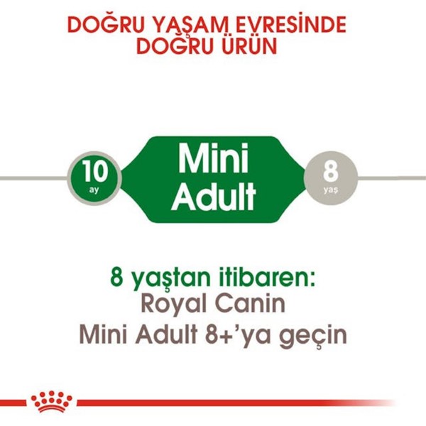ROYAL CANİN DOG MINI ADULT  4 KG*4